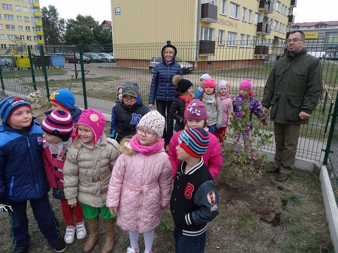 Ostrołęka: Święto Drzewa w „Krainie Misiów” [14.10.2015] - zdjęcie #25 - eOstroleka.pl