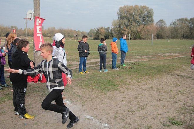 Ostrołęka: Pobiegli z „jedynką” na Dzień Nauczyciela [14.10.2015] - zdjęcie #13 - eOstroleka.pl