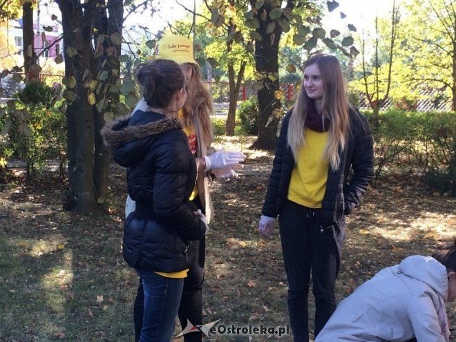 Uczniowie I LO sadzili żonkile w ramach akcji „Pola Nadziei [18.10.2015] - zdjęcie #7 - eOstroleka.pl