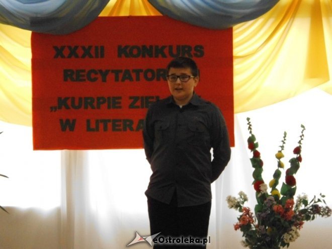 XXXII edycja konkursu recytatorskiego „Kurpie Zielone w Literaturze” [30.10.2015] - zdjęcie #9 - eOstroleka.pl