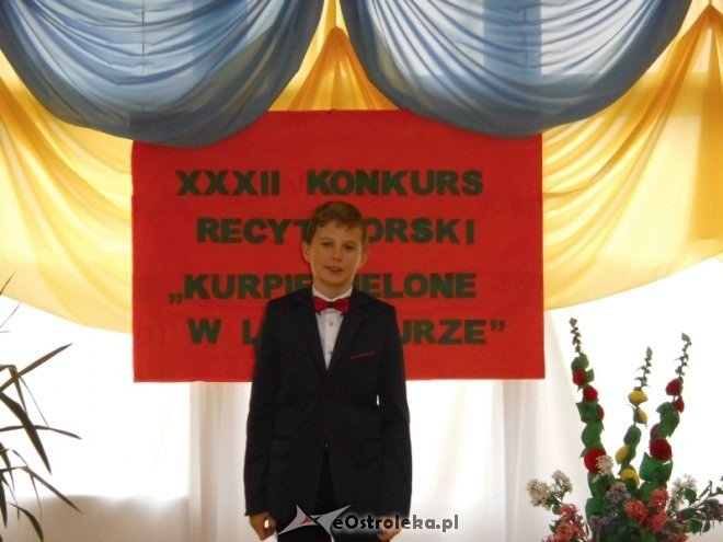 XXXII edycja konkursu recytatorskiego „Kurpie Zielone w Literaturze” [30.10.2015] - zdjęcie #5 - eOstroleka.pl