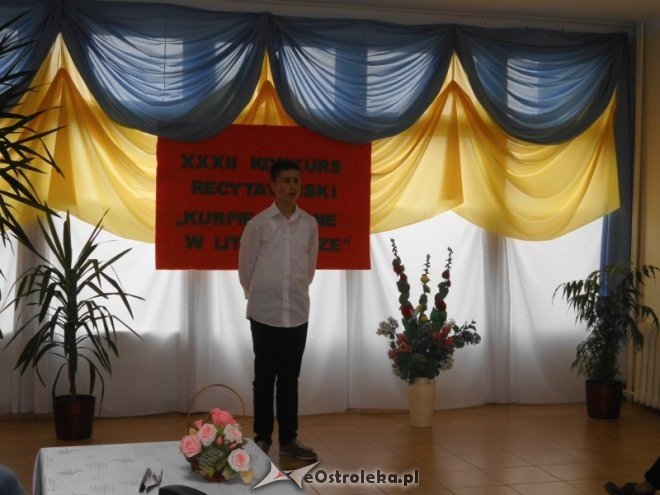 XXXII edycja konkursu recytatorskiego „Kurpie Zielone w Literaturze” [30.10.2015] - zdjęcie #3 - eOstroleka.pl