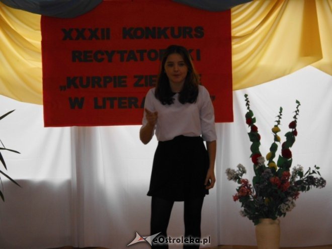 XXXII edycja konkursu recytatorskiego „Kurpie Zielone w Literaturze” [30.10.2015] - zdjęcie #2 - eOstroleka.pl