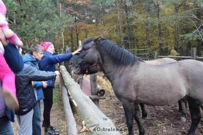 Jesienny Rajd Rowerowy uczniów ostrołęckiej „dziesiątki” [ZDJĘCIA] - zdjęcie #45 - eOstroleka.pl