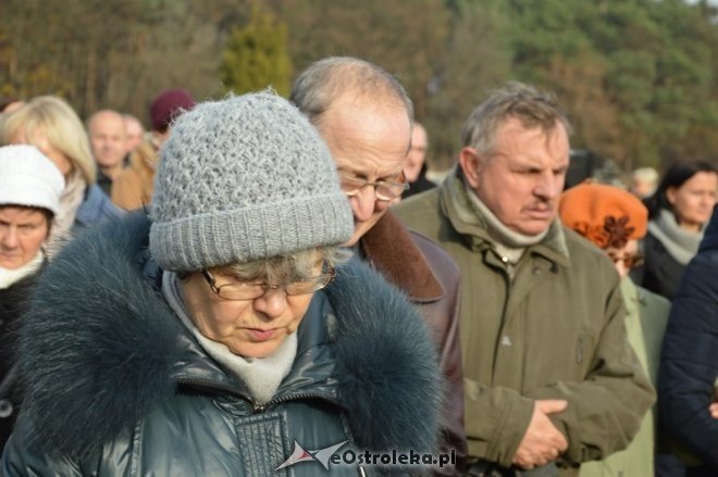 Uroczystość Wszystkich Świętych na cmentarzu parafialnym [01.11.2015] - zdjęcie #60 - eOstroleka.pl