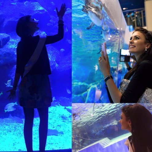 Miss International 2015: Nasza reprezentantka, Ewa Mielnicka jest już w Japonii [03.11.2015] - zdjęcie #5 - eOstroleka.pl