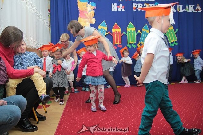 Pasowanie na „przedszkolaka” w Krainie Misiów [10.11.2015] - zdjęcie #25 - eOstroleka.pl