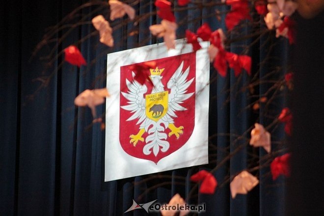 Miejskie obchody Narodowego Święta Niepodległości w Ostrołęce [11.11.2015] - zdjęcie #62 - eOstroleka.pl