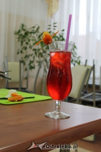 Barmańskie warsztaty z Jerzym Czaplą w ZSZ nr 4 [12.11.2015] - zdjęcie #5 - eOstroleka.pl