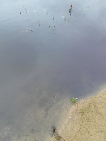 Zanieczyszczona woda w Narwi [13.11.2015] - zdjęcie #1 - eOstroleka.pl