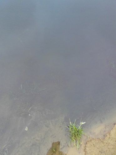 Zanieczyszczona woda w Narwi [13.11.2015] - zdjęcie #2 - eOstroleka.pl
