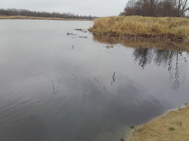 Zanieczyszczona woda w Narwi [13.11.2015] - zdjęcie #3 - eOstroleka.pl