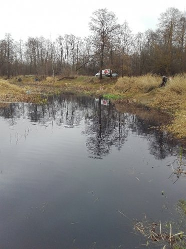 Zanieczyszczona woda w Narwi [13.11.2015] - zdjęcie #5 - eOstroleka.pl