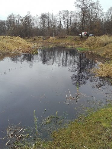 Zanieczyszczona woda w Narwi [13.11.2015] - zdjęcie #8 - eOstroleka.pl