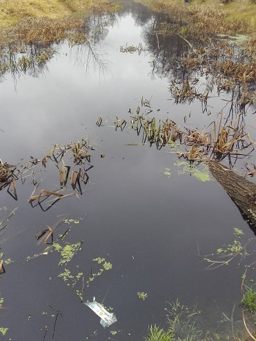 Zanieczyszczona woda w Narwi [13.11.2015] - zdjęcie #9 - eOstroleka.pl