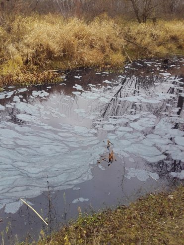 Zanieczyszczona woda w Narwi [13.11.2015] - zdjęcie #15 - eOstroleka.pl