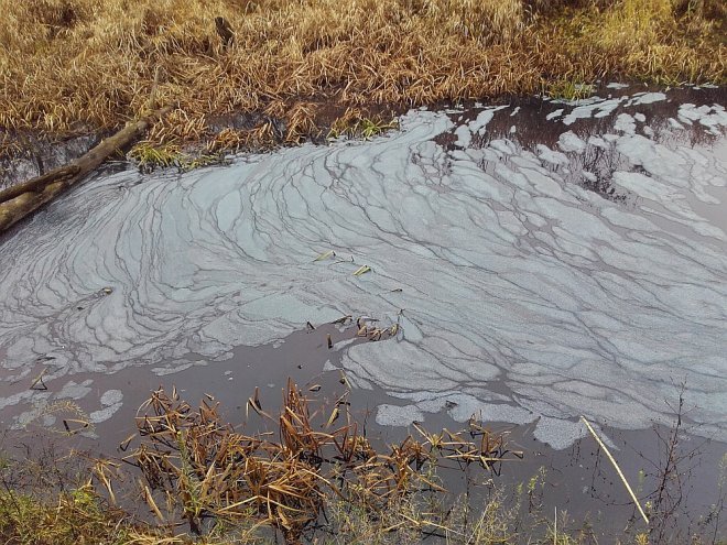 Zanieczyszczona woda w Narwi [13.11.2015] - zdjęcie #16 - eOstroleka.pl