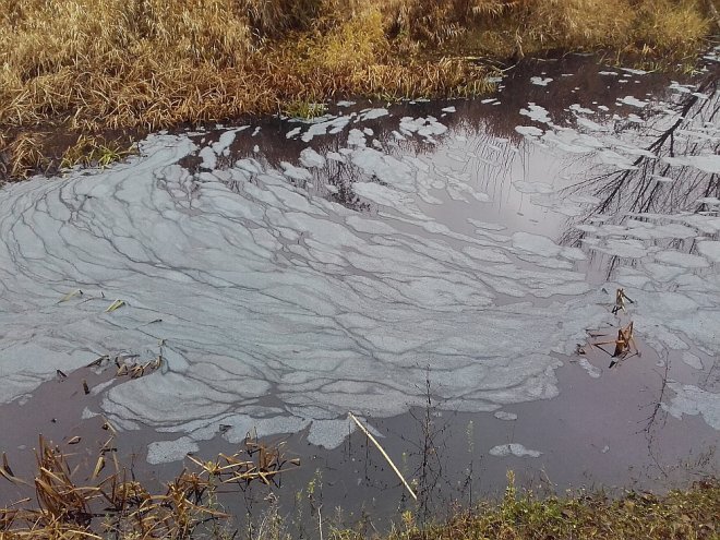 Zanieczyszczona woda w Narwi [13.11.2015] - zdjęcie #17 - eOstroleka.pl