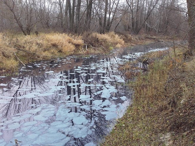 Zanieczyszczona woda w Narwi [13.11.2015] - zdjęcie #18 - eOstroleka.pl