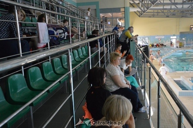 IV Otwarte Mistrzostwa Ostrołęki w pływaniu [14.11.2015] - zdjęcie #16 - eOstroleka.pl