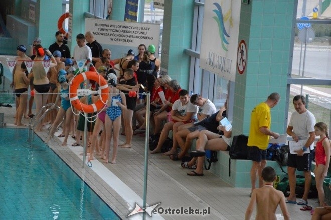 IV Otwarte Mistrzostwa Ostrołęki w pływaniu [14.11.2015] - zdjęcie #30 - eOstroleka.pl