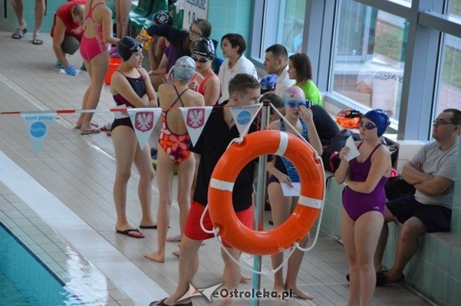 IV Otwarte Mistrzostwa Ostrołęki w pływaniu [14.11.2015] - zdjęcie #36 - eOstroleka.pl