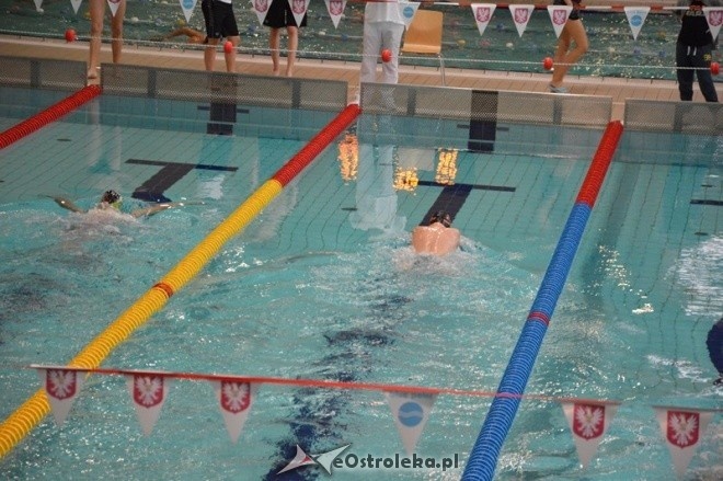 IV Otwarte Mistrzostwa Ostrołęki w pływaniu [14.11.2015] - zdjęcie #39 - eOstroleka.pl