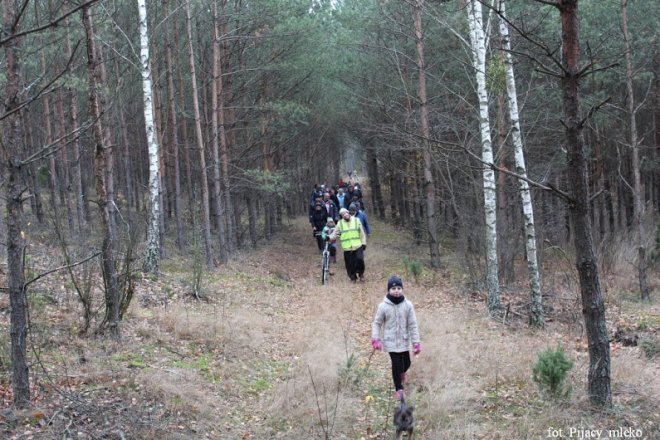 Wspólne spacerowanie po lasach gminy Lelis [15.11.2015] - zdjęcie #17 - eOstroleka.pl