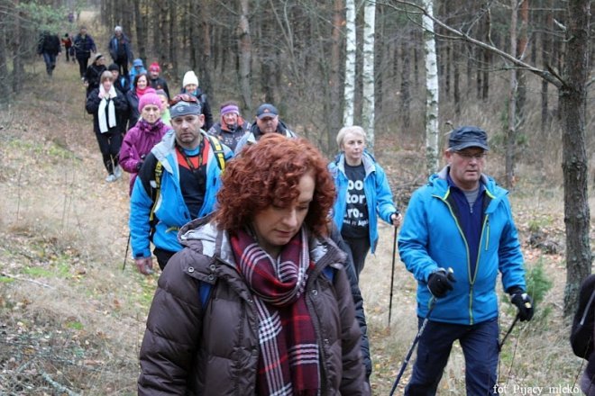 Wspólne spacerowanie po lasach gminy Lelis [15.11.2015] - zdjęcie #20 - eOstroleka.pl