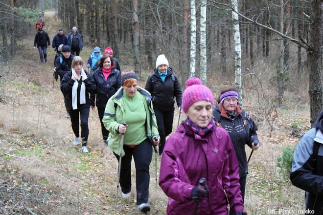 Wspólne spacerowanie po lasach gminy Lelis [15.11.2015] - zdjęcie #19 - eOstroleka.pl