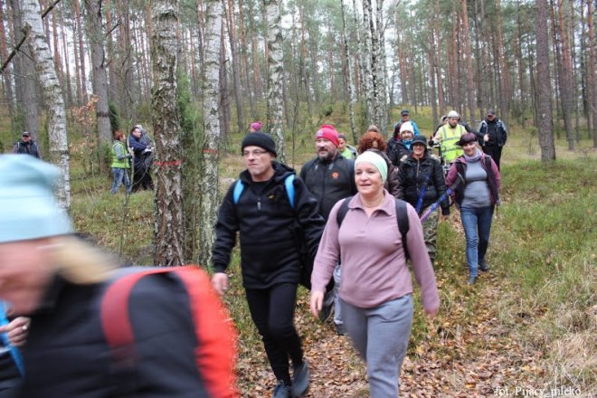 Wspólne spacerowanie po lasach gminy Lelis [15.11.2015] - zdjęcie #21 - eOstroleka.pl
