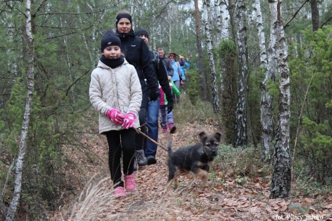 Wspólne spacerowanie po lasach gminy Lelis [15.11.2015] - zdjęcie #9 - eOstroleka.pl