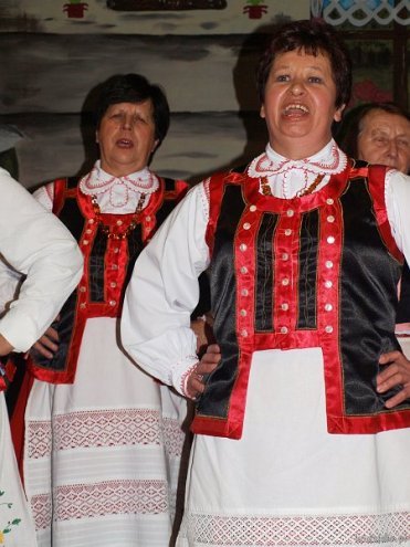 Jesienny Festiwal Kół Gospodyń Wiejskich z gminy Kadzidło [20.11.2015] - zdjęcie #103 - eOstroleka.pl