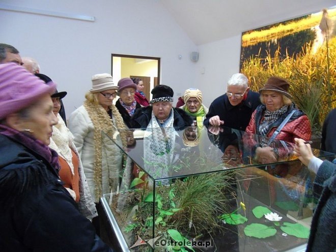 Seniorzy od „Św. Antoniego” na edukacyjnej wycieczce do Łomży i Drozdowa [20.11.2015] - zdjęcie #4 - eOstroleka.pl