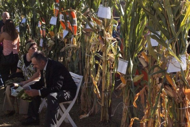 Święto Kukurydzy i Kurpiowskie Święto Mleka (20.09.09) - zdjęcie #7 - eOstroleka.pl