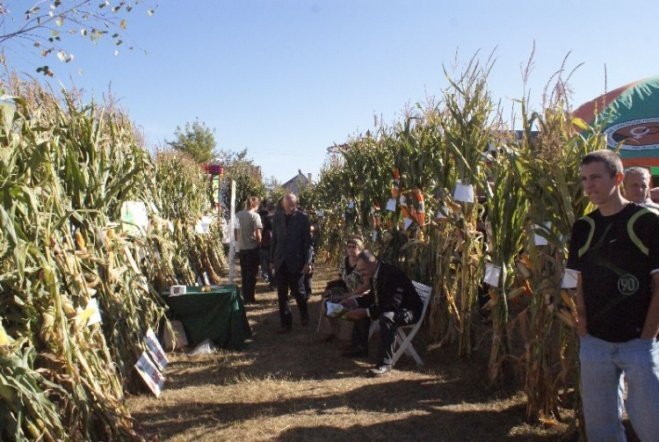 Święto Kukurydzy i Kurpiowskie Święto Mleka (20.09.09) - zdjęcie #6 - eOstroleka.pl
