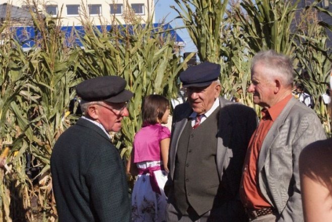 Święto Kukurydzy i Kurpiowskie Święto Mleka (20.09.09) - zdjęcie #52 - eOstroleka.pl
