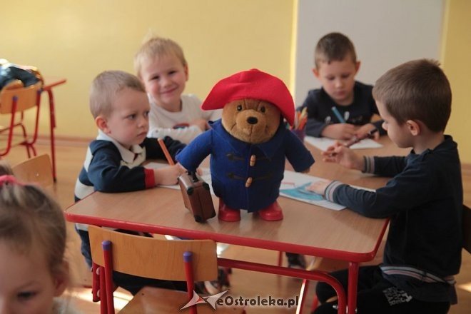 Dzień Pluszowego Misia w miejskiej „siedemnastce” [25.1.2015] - zdjęcie #41 - eOstroleka.pl