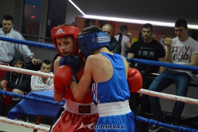 Listopadowa sobota bokserska [28.11.2015] - zdjęcie #9 - eOstroleka.pl
