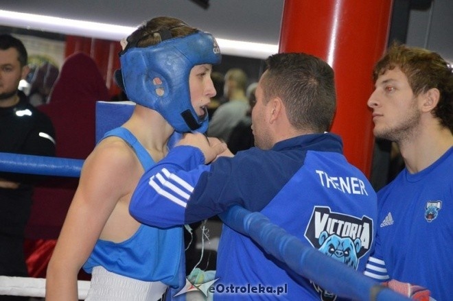 Listopadowa sobota bokserska [28.11.2015] - zdjęcie #8 - eOstroleka.pl