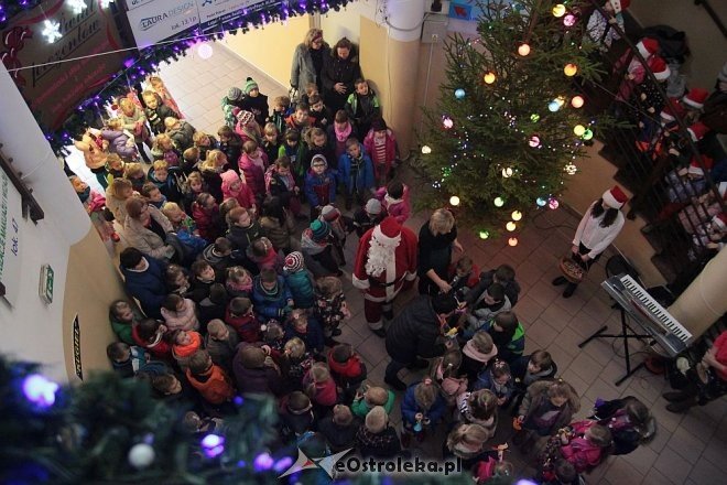 Ostrołęka: Przedszkolaki ubrały choinkę w „Handlowcu” [03.12.2015] - zdjęcie #24 - eOstroleka.pl