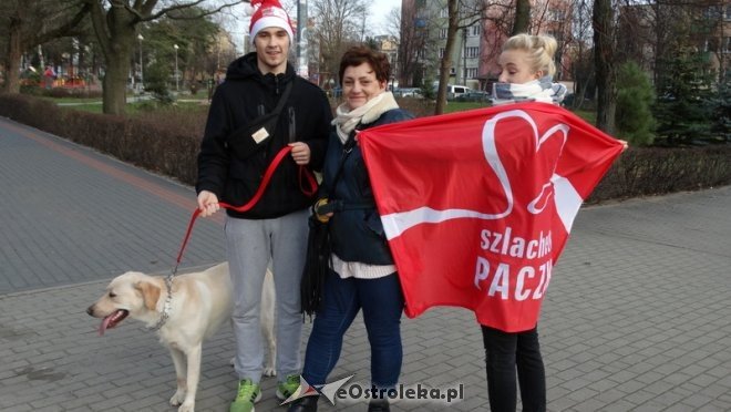 Rodzinny Bieg Mikołajkowy z MOPR-em [06.12.2015] - zdjęcie #149 - eOstroleka.pl