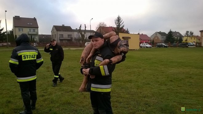 Strażacy ochotnicy z powiatu ostrołęckiego przeszkoleni [08.12.2015] - zdjęcie #3 - eOstroleka.pl