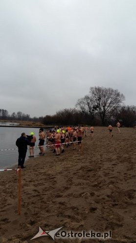 Ostrołęckie Morsy biły Rekord Guinnessa [13.12.2015] - zdjęcie #5 - eOstroleka.pl