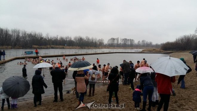 Ostrołęckie Morsy biły Rekord Guinnessa [13.12.2015] - zdjęcie #4 - eOstroleka.pl