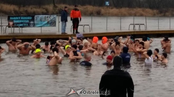 Ostrołęckie Morsy biły Rekord Guinnessa [13.12.2015] - zdjęcie #1 - eOstroleka.pl