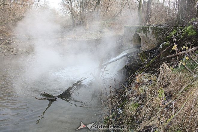 Ostrołęka: Gorąca ciecz z kanału zrzutowego na Narwi. Kolejna awaria w Stora Enso? [15.12.2015] - zdjęcie #4 - eOstroleka.pl