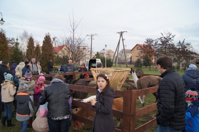 Spotkanie z Mikołajem w Olszewo-Borkach [21.12.2015] - zdjęcie #151 - eOstroleka.pl