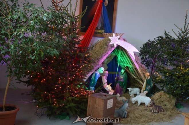 Szopki bożonarodzeniowe w ostrołęckich parafiach [25.12.2015] - zdjęcie #18 - eOstroleka.pl
