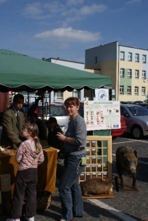 Targi Ekologiczne (27.09.09) - zdjęcie #34 - eOstroleka.pl